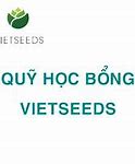 Học Bổng Vietseeds 2021 Là Gì ؟ Của Mỹ Tâm