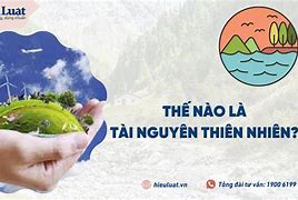 Nguồn Lực Tài Nguyên Thiên Nhiên Ở Việt Nam